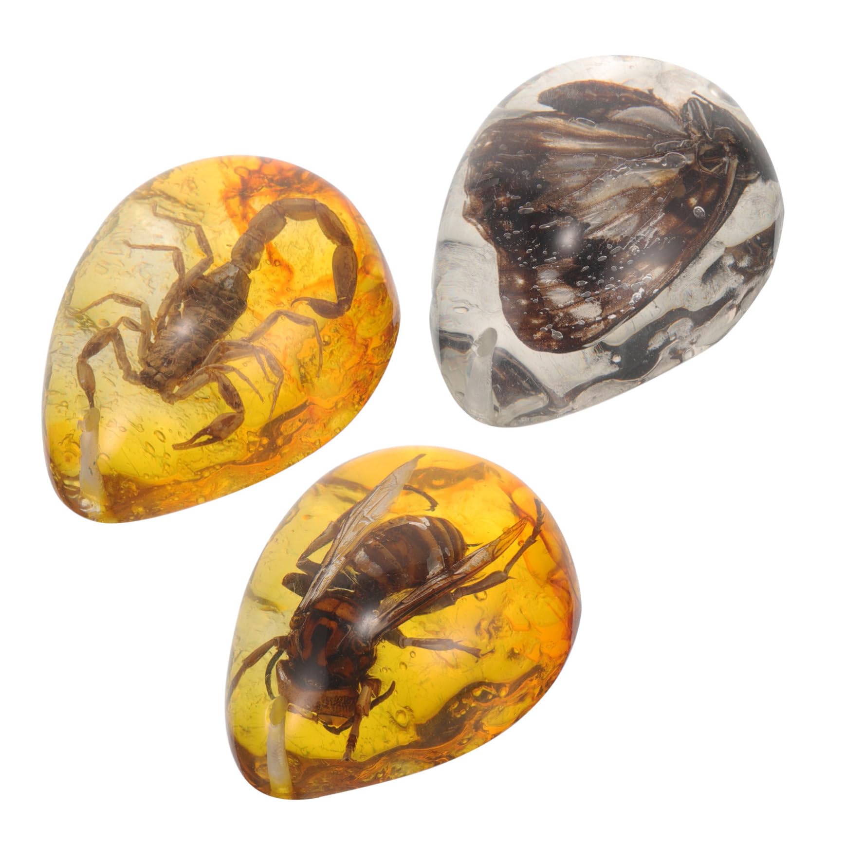 TOYANDONA 15pezzi Insetti Decorazioni Per Collezionisti e Appassionati Insetti Specimen e