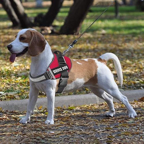 Miniatura 7 de JSXD - Arnés para perro, sin tirones, con asa ajustable, para exteriores, chaleco de nailon reflectante 3M, fácil control del perro, para razas