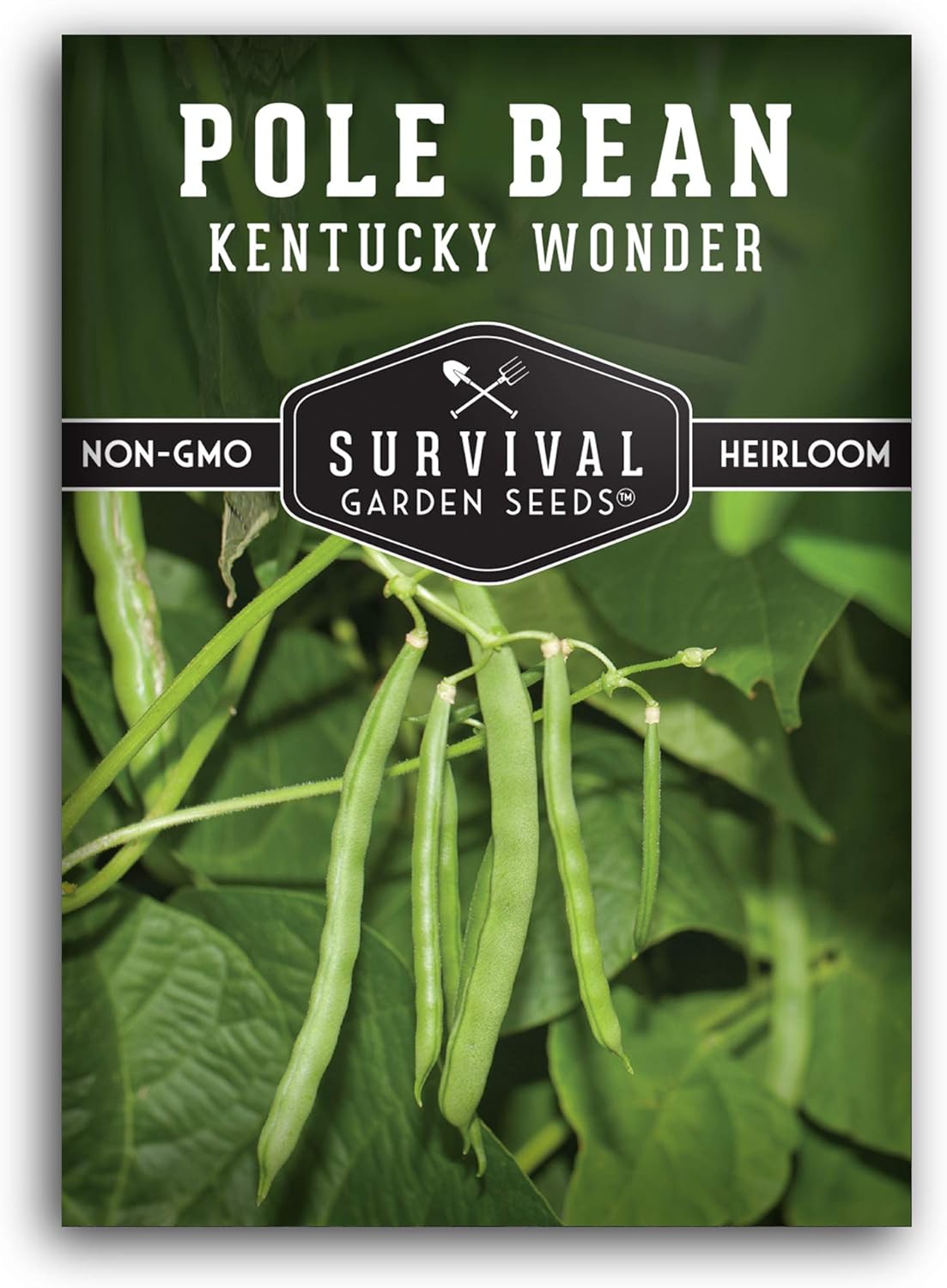 Kentucky Wonder Pole Bean Seeds - Heirloom Non-GMO Green Snap Beans for Abundant Home Garden Harvests | SurvivalGardenSeeds