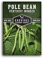 Kentucky Wonder Pole Bean Seeds - Heirloom Non-GMO Green Snap Beans for Abundant Home Garden Harvests | SurvivalGardenSeeds