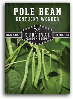 Kentucky Wonder Pole Bean Seeds - Heirloom Non-GMO Green Snap Beans for Abundant Home Garden Harvests | SurvivalGardenSeeds