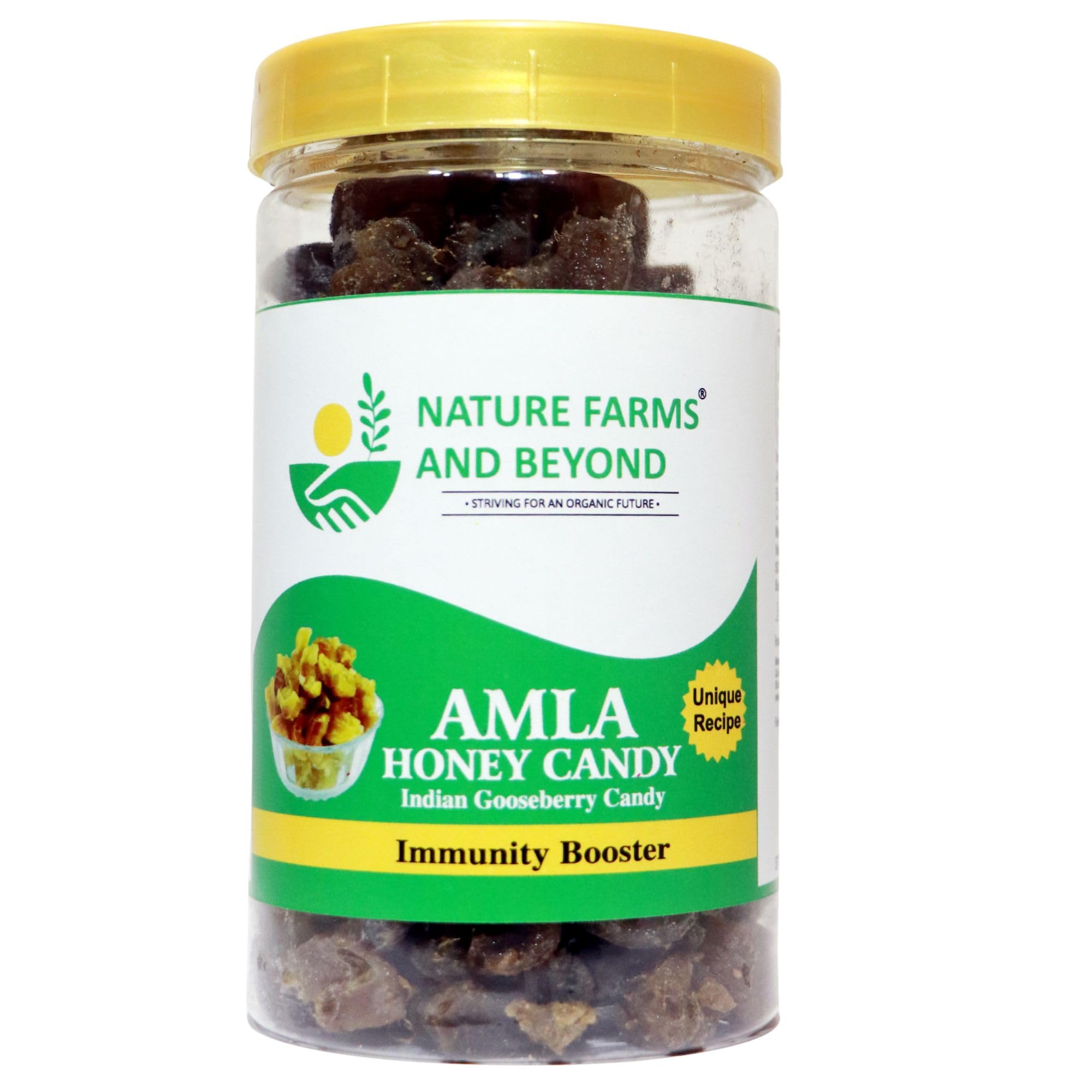 Honey Amla Candy Purely Honey Processed Dry Amla Candy Best For Eyes, Hairs Low-Calorie Dry Fruit Snack And 100% Natural Honey Sweetened Snack. (Pack of 500 Gm)