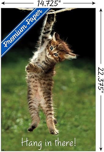 Miniatura 3 de Póster de pared con diseño de gatito famoso, 22.4 pulgadas de largo x 14.7 pulgadas de ancho, versión premium sin marco