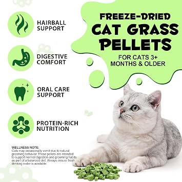 Cat Grass Treats, Freezed Drying Cat Grass Teething Stick Snacks for Kitty, Organic Grass Treats for Indoor Cats, Hairball Relief & Teeth Cleaning, Natural Snacks with High Fiber Formula 80g