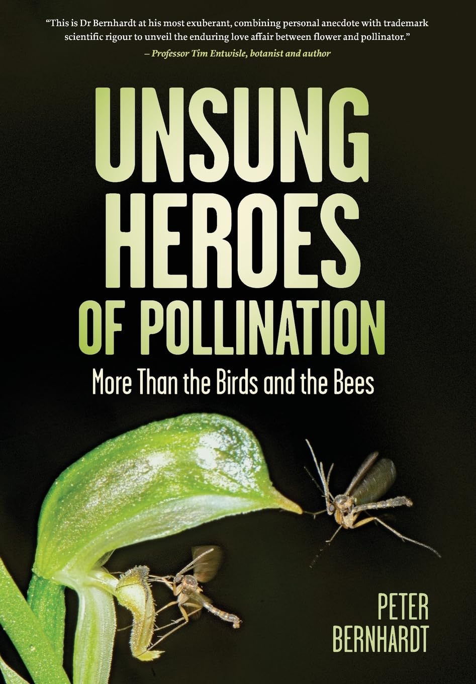 Unsung Heroes of Pollination: More Than the Birds and the Bees