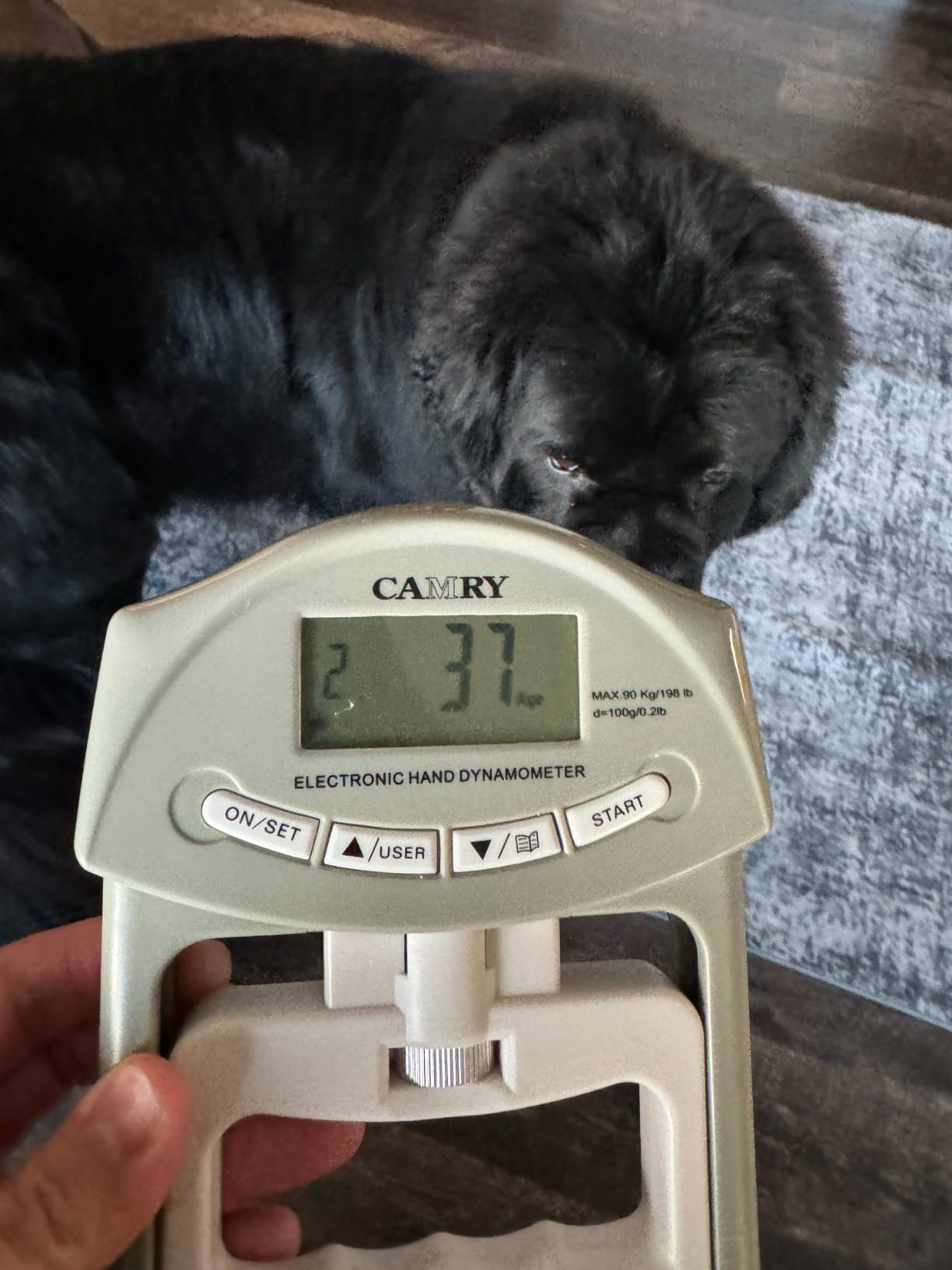 Grey/blue Digital Hand Dynamometer Grip Strength Measurement Meter Auto Optagelse Af Elektronisk Handgrebskraft