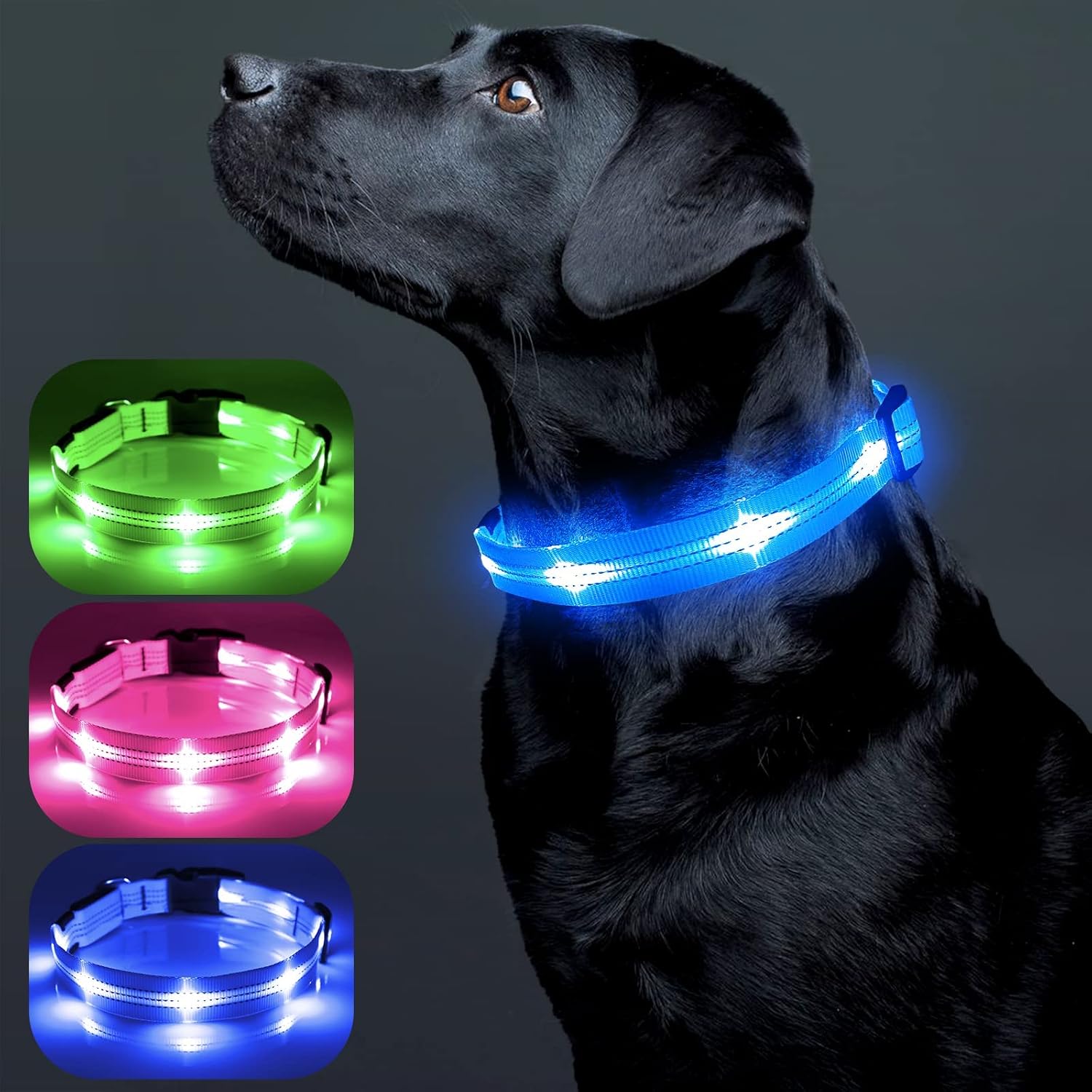 Colaseeme LED Dog Collar Light Up Dog Collars Micro USB Rechargeable Adjustable Reflective Nylon Webbing Plastic Buckle D Ring Glow Safety Collars for Dog (Blue, S)
