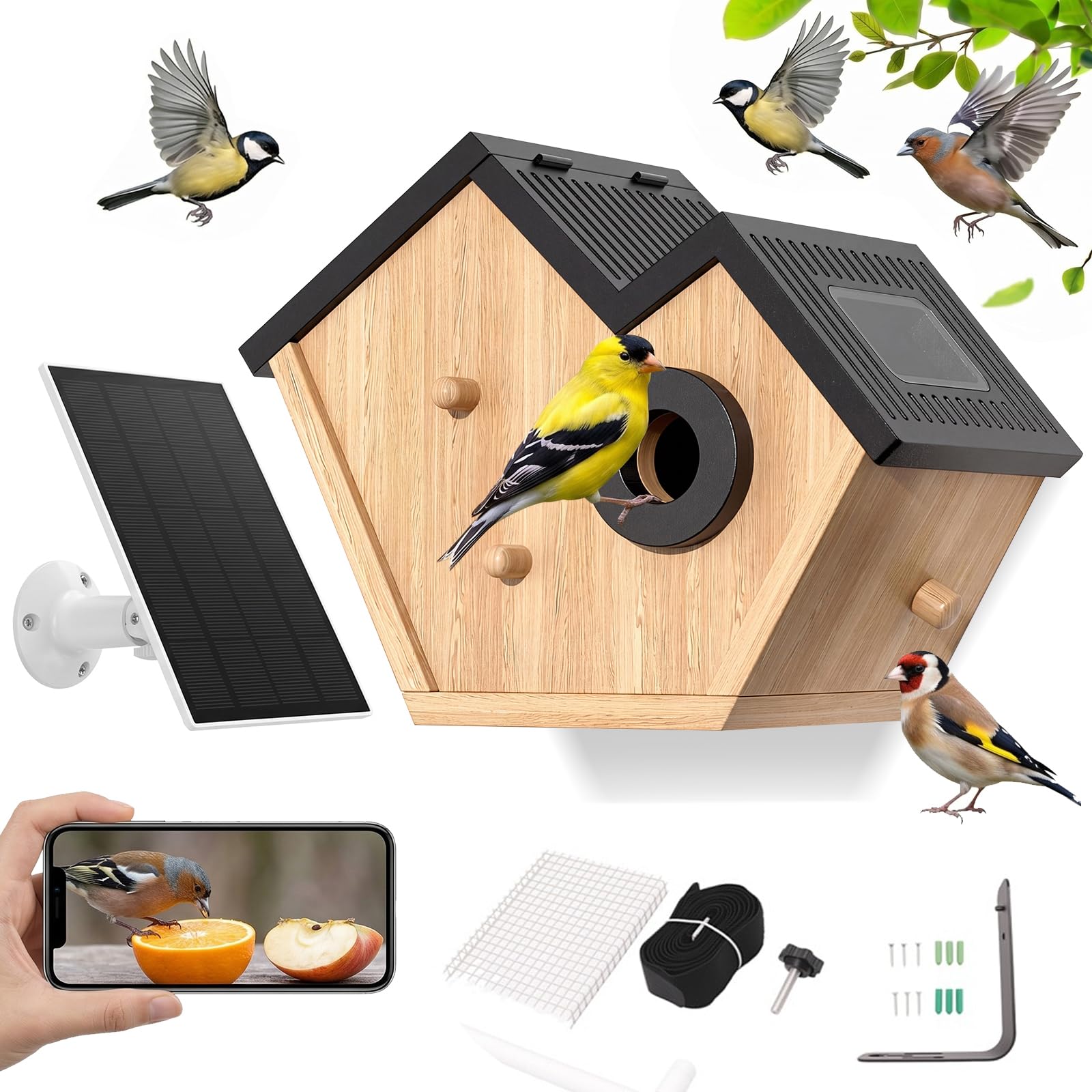 Smart Bird Box with Camera, Solar Powered Bird House with Camera, Outdoor Parrot Nest Box Smart Bird House for Garden, AI Recognition, Night Vision, Motion Detection, Live App Viewing, 2.4GHz Wi-Fi