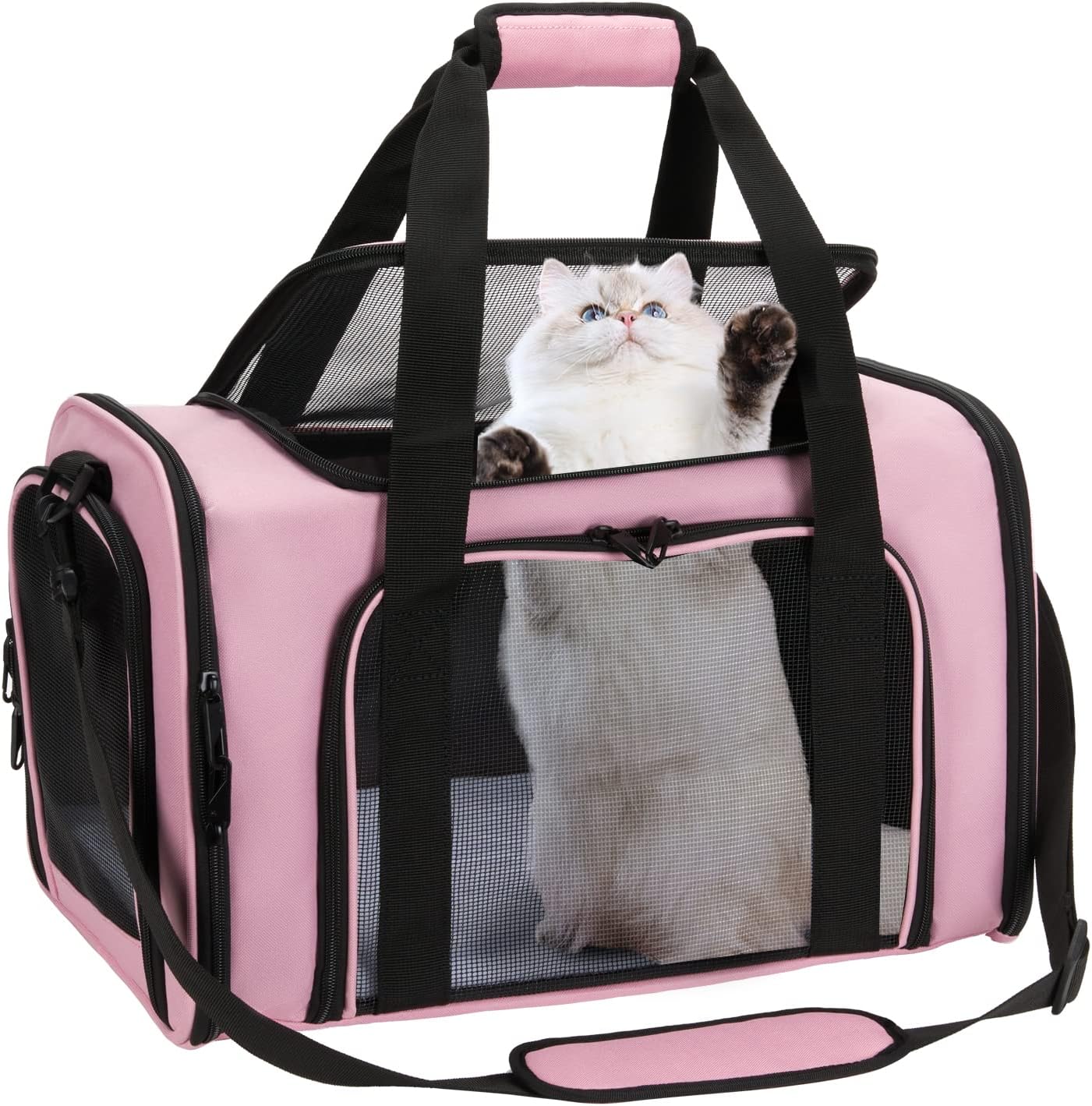 Pet Carrier for Cat Travel Carrier, Zbrivier Soft Dog Carrier Airline Approved Pet Carrier, Soft Cat Carrier with Lockable Zippers and Fleece Pad, Durable Dog Carriers for Small Dogs- Medium, Black : Pet Supplies