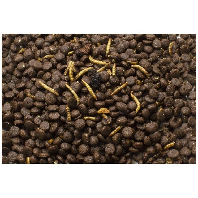 Foto 2 de 3 de JR Garden Grainless Erizo 2,5 kg 5L Cubo