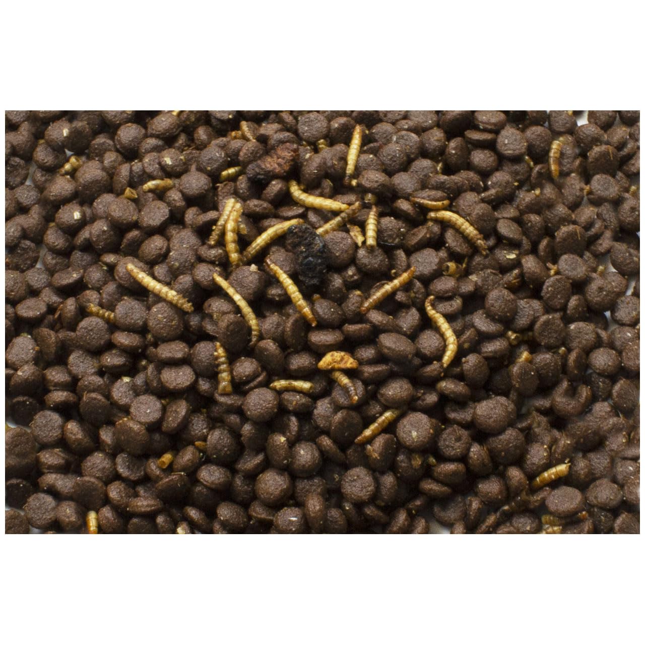 JR Garden Grainless Hérisson 2,5 kg Seau de 5 l