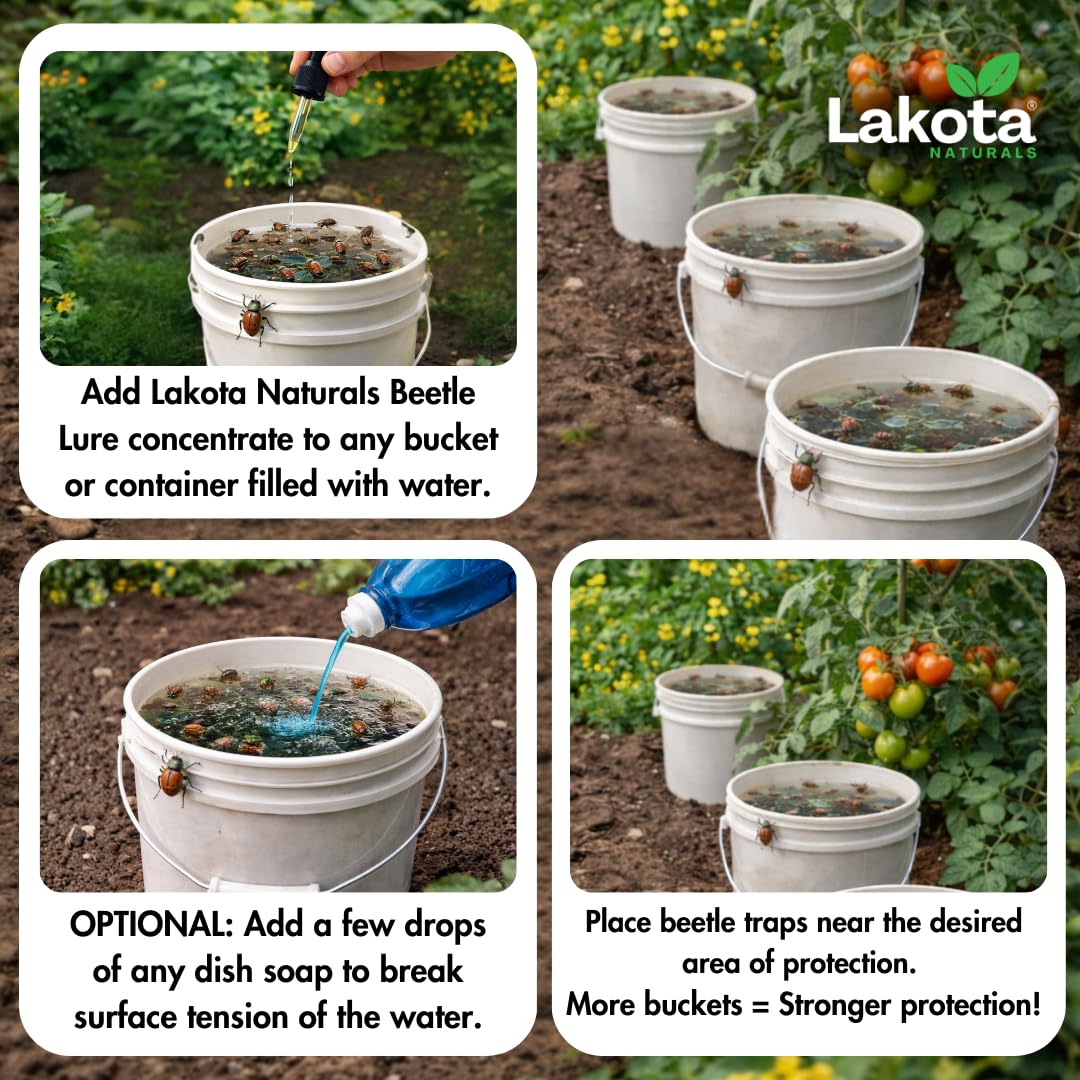 Amazon.com : Japanese Beetle Traps Outdoor Killer Lure & Kill