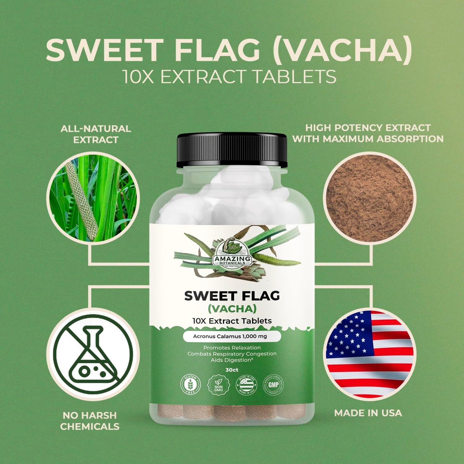 Sweet Flag (Vacha) 10X Extract Tablets 100 mg per Serving - Acorus Calamus Extract - Natural Herbal Supplement for Overall Wellness - 30 Count - Image 5