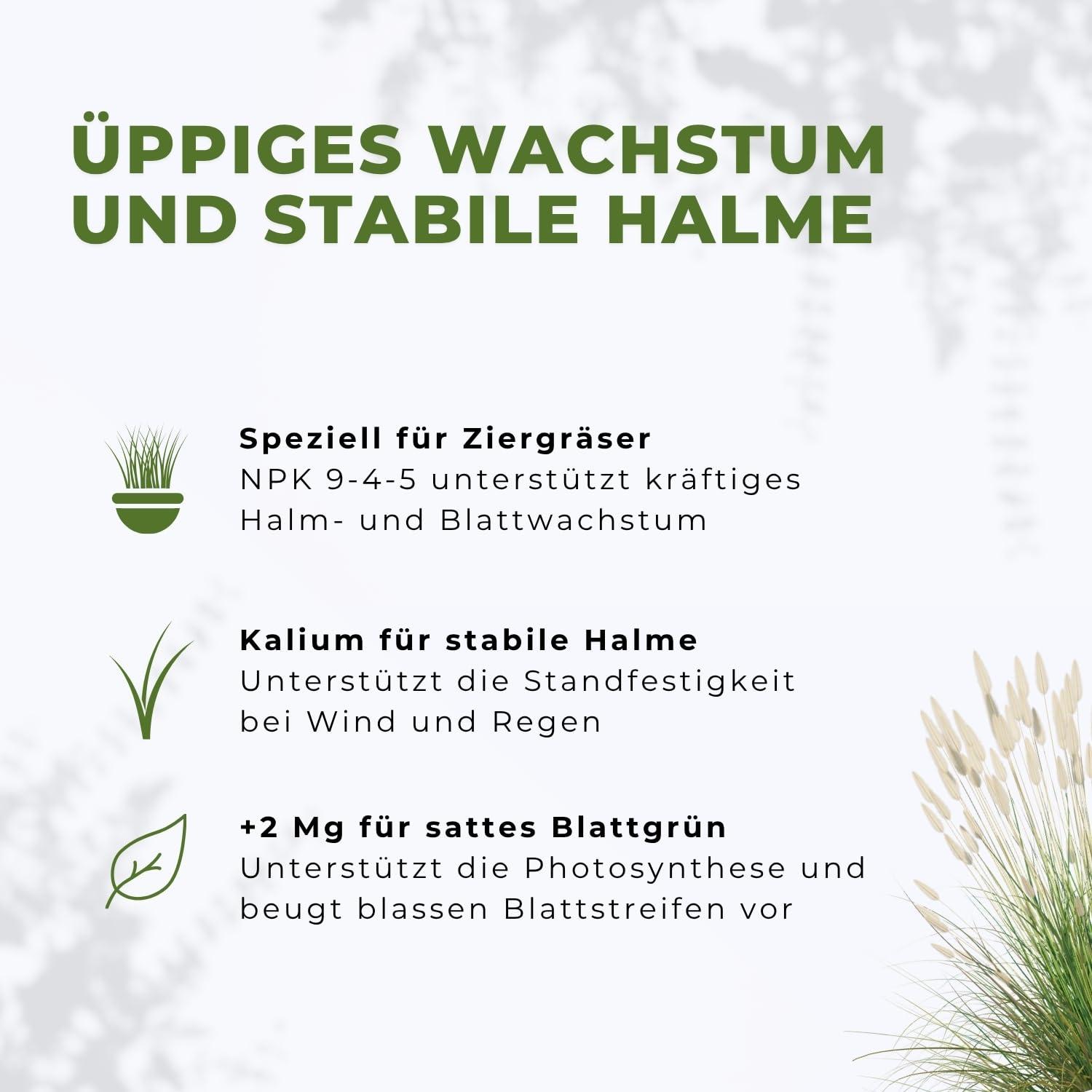 Flora Boost PRO Ziergras Dünger Langzeitwirkung 5 kg