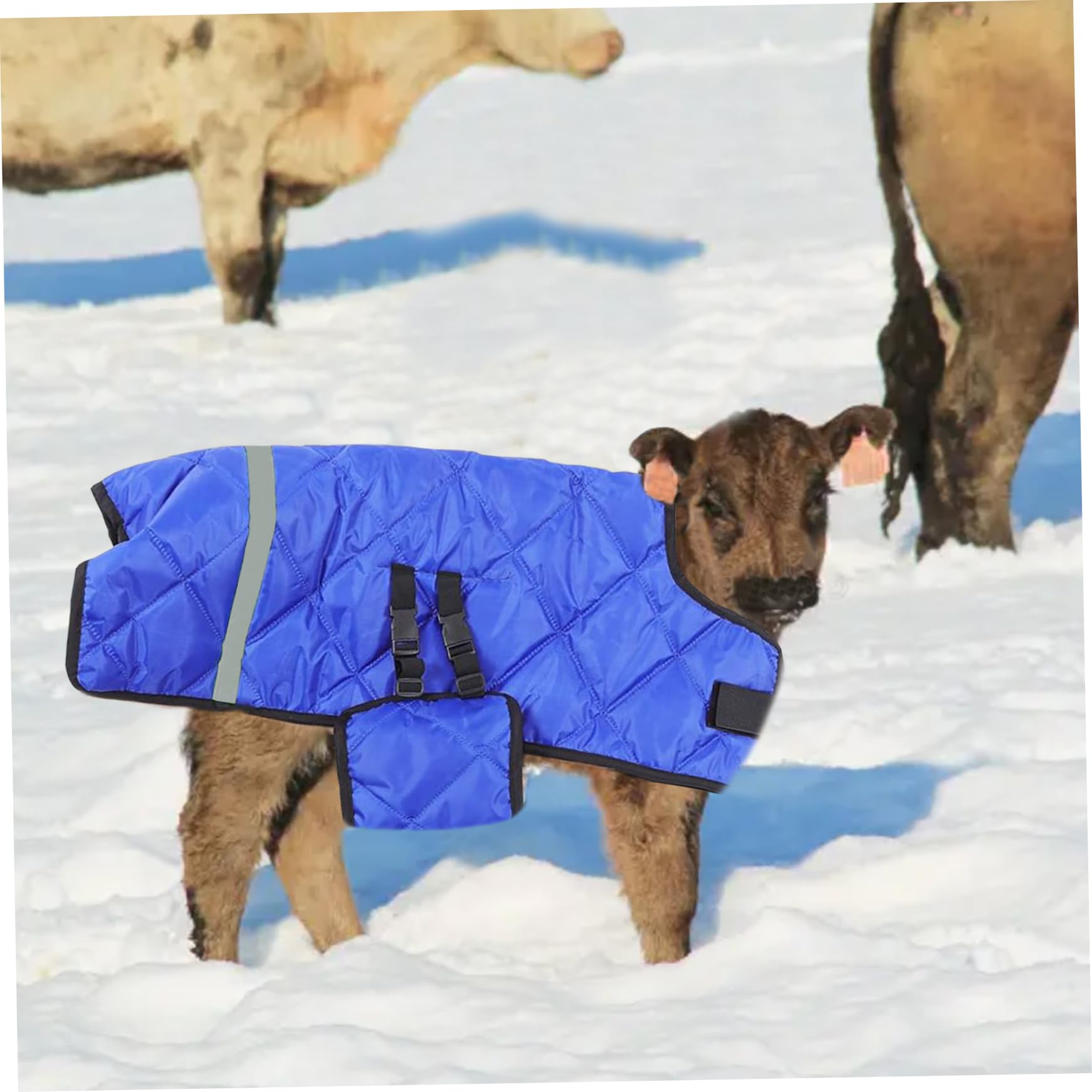 Couverture Chauffante Pour Veaux Et Chèvres - Imperméable Coupe-Vent, Vêtements Chauds Pour Bétail En Hiver, Protection Pour Veaux Nouveau-Nés