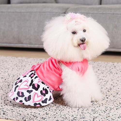 Miniatura 104 de CuteBone - Vestido de terciopelo para perros pequeños, para cachorros, ropa rosa para perros CVA02M-D