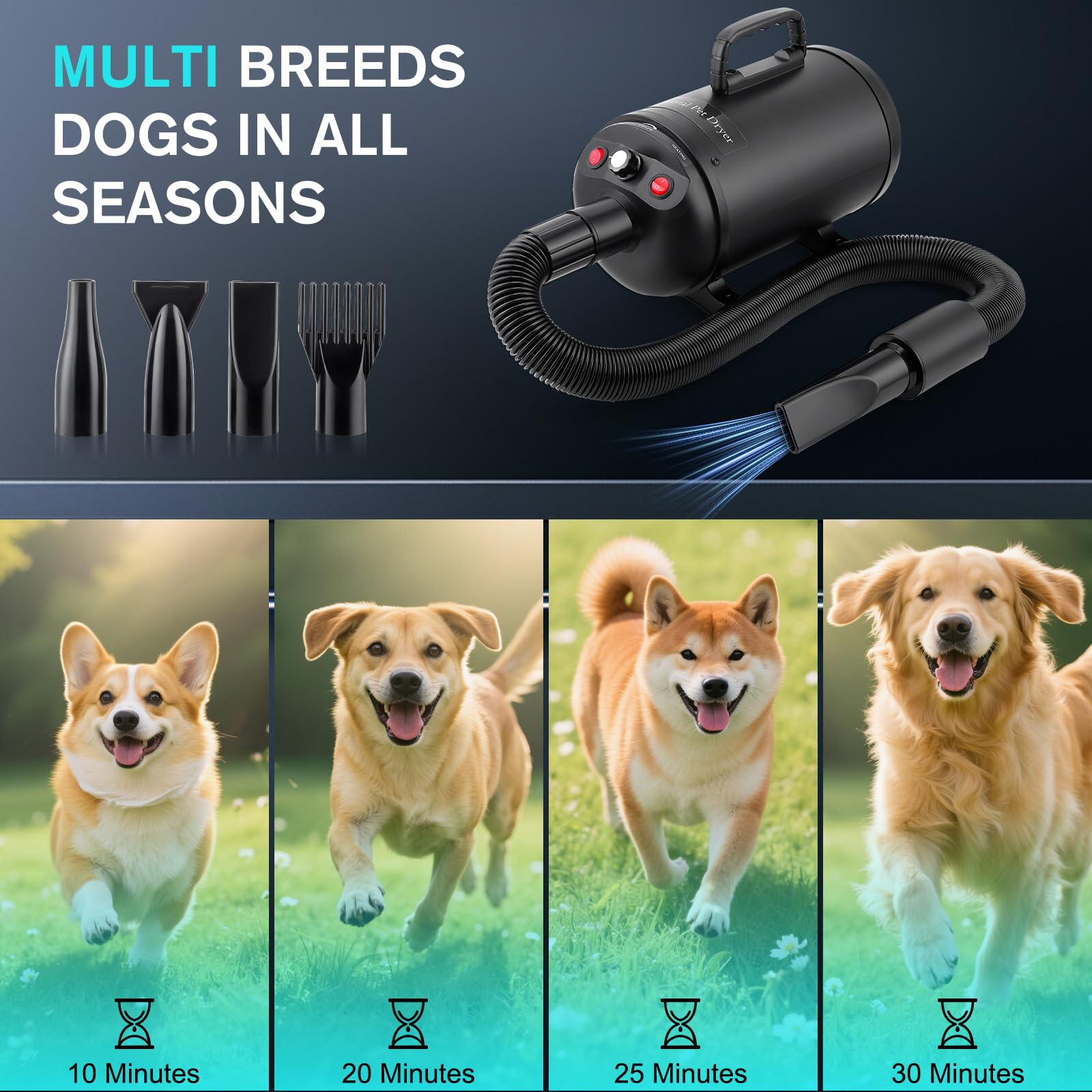 Secador de Pelo de Perro Blaster 5.2 CV / 3800 W, Profesional Secador de Pelo para Mascotas con 4 Boquillas, Velocidad y Calor Ajustables