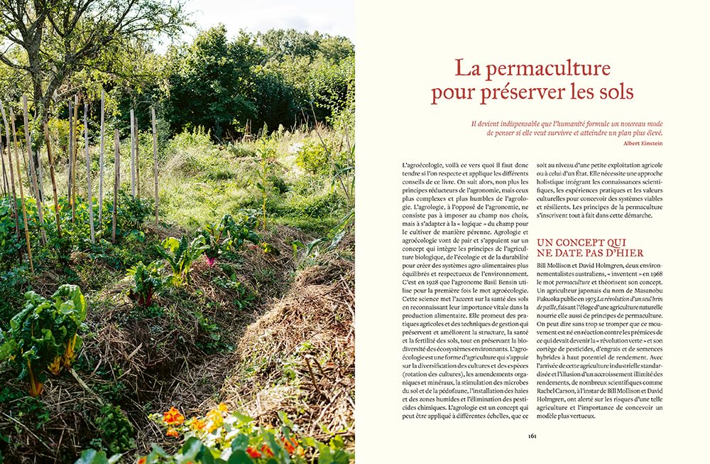 Prendre soin de son sol - Mieux le comprendre, le fertiliser et favoriser la vie: Manuel pratique par un expert