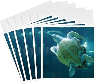 3dRose South Africa, Cape Town, Leatherback Turtle, Aquarium-AF42 PSO0182 - Paul Souders - Greeting Cards, 6 x 6 inches, set of 6 (gc_75887_1)