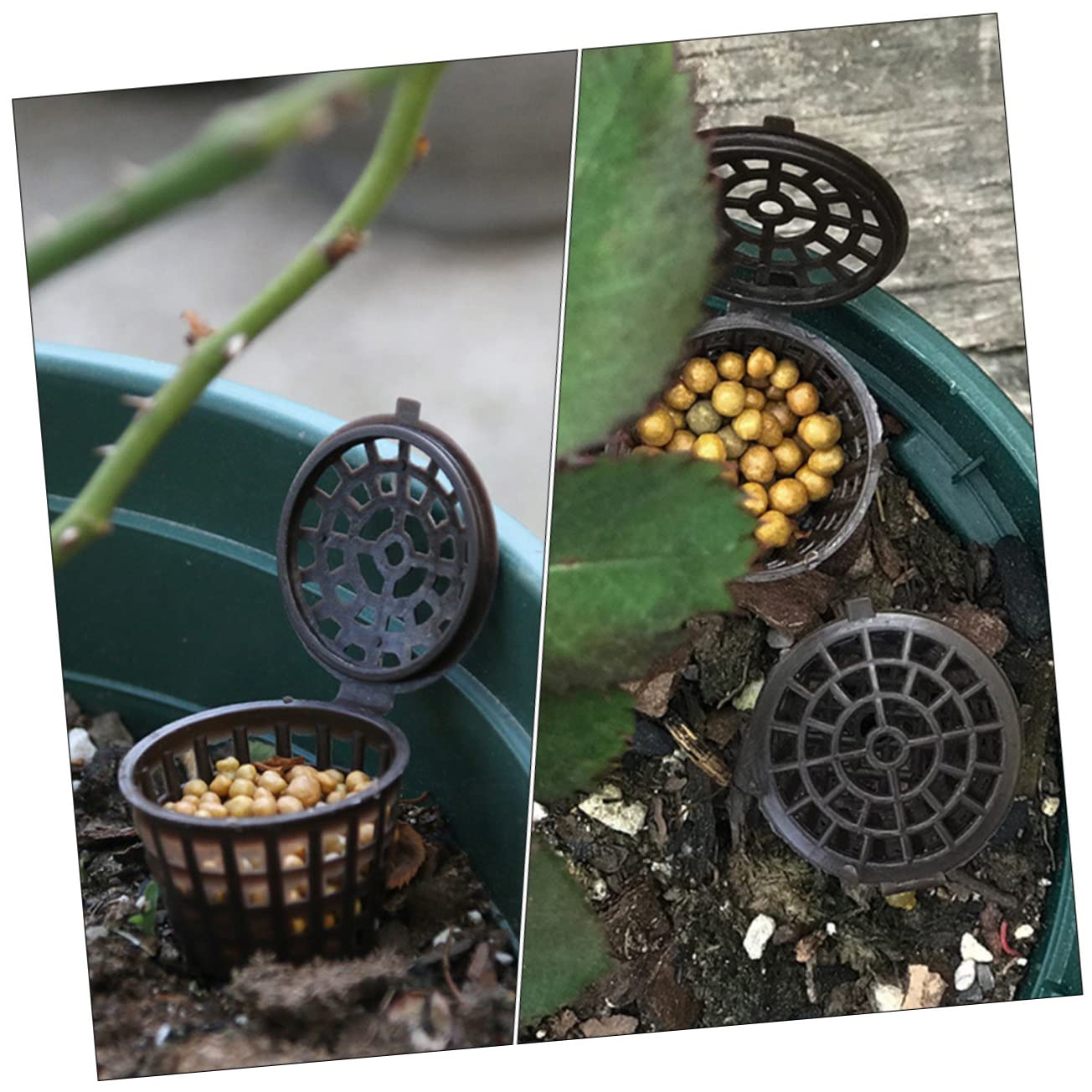 BESPORTBLE 150pièces Boîte De Fertilisation Avec Couvercle Pour Plantes Fleurs Et Bonsai Économiseur De Fertilisant Et Réutilisable
