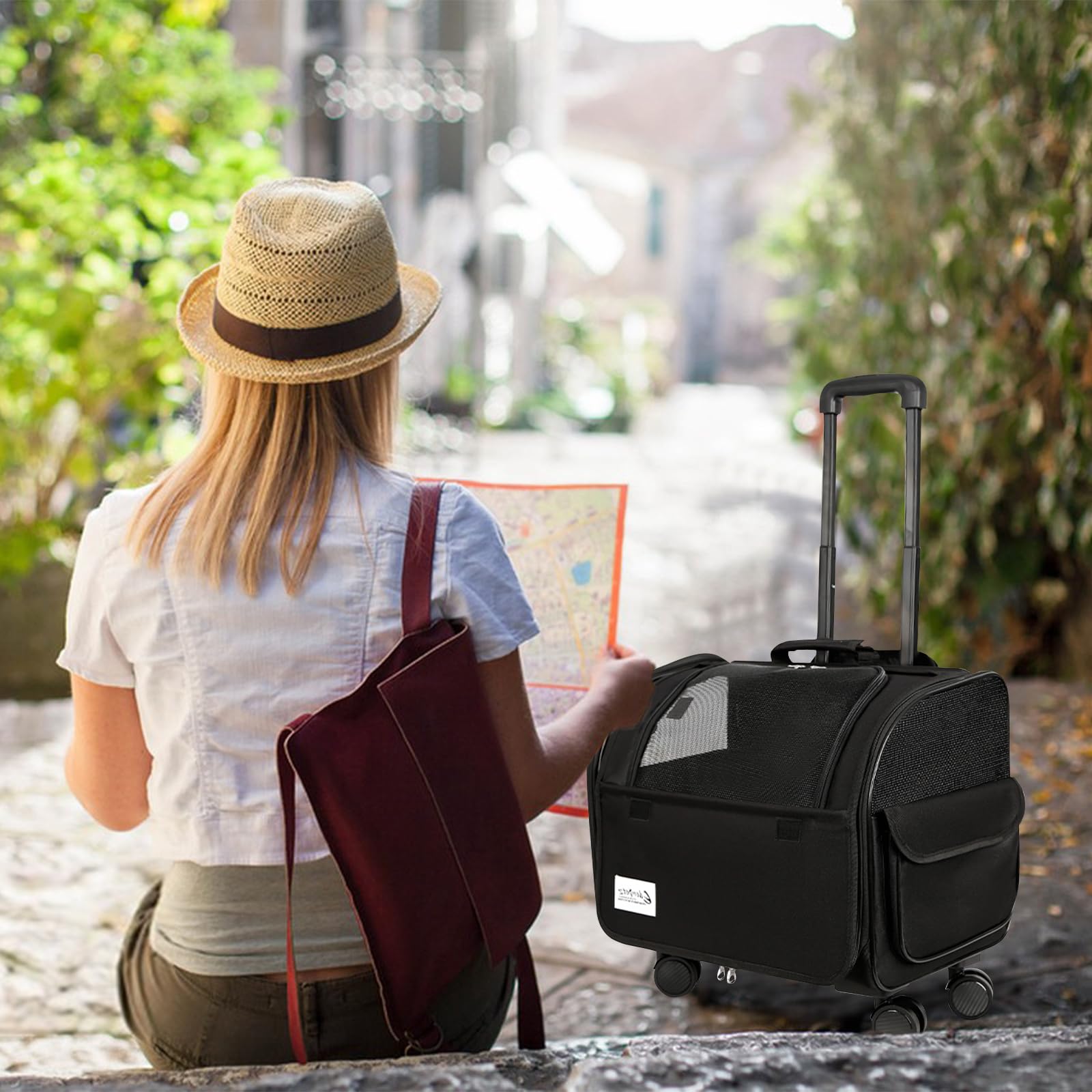 Galatée Borsa Da Viaggio Per Cani Con Ruote Removibili, Trasportino Per Animali Approvato Dalle Compagnie Aeree, Borsa Pieghevole Per Gatti Con Rete Traspirante, Passeggino Per Animali(Nero)