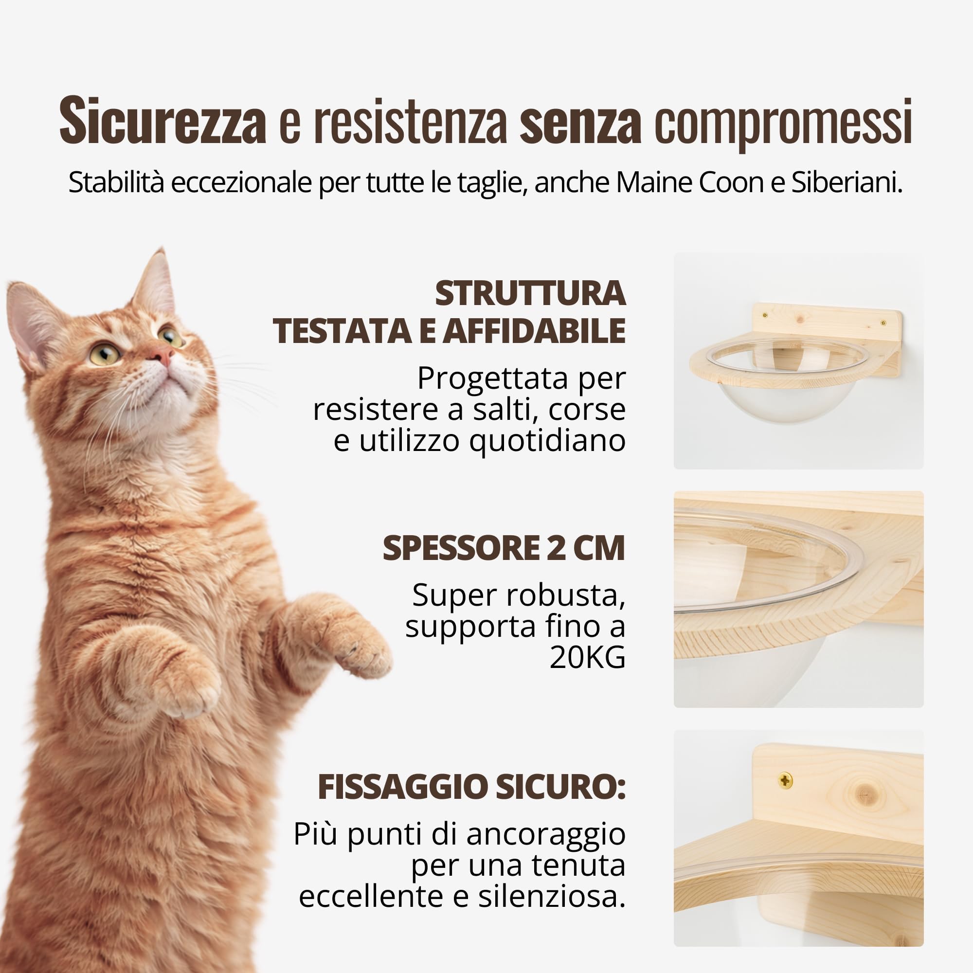 Cuccia Plexy per Gatti in Legno d'Abete PEFC Artigianale, con Cupola trasparente in plexiglass, Mensola per Gatti Super Robusta per Arrampicata, Gioco e Relax, Fino a 20 kg – Percorsopergatti