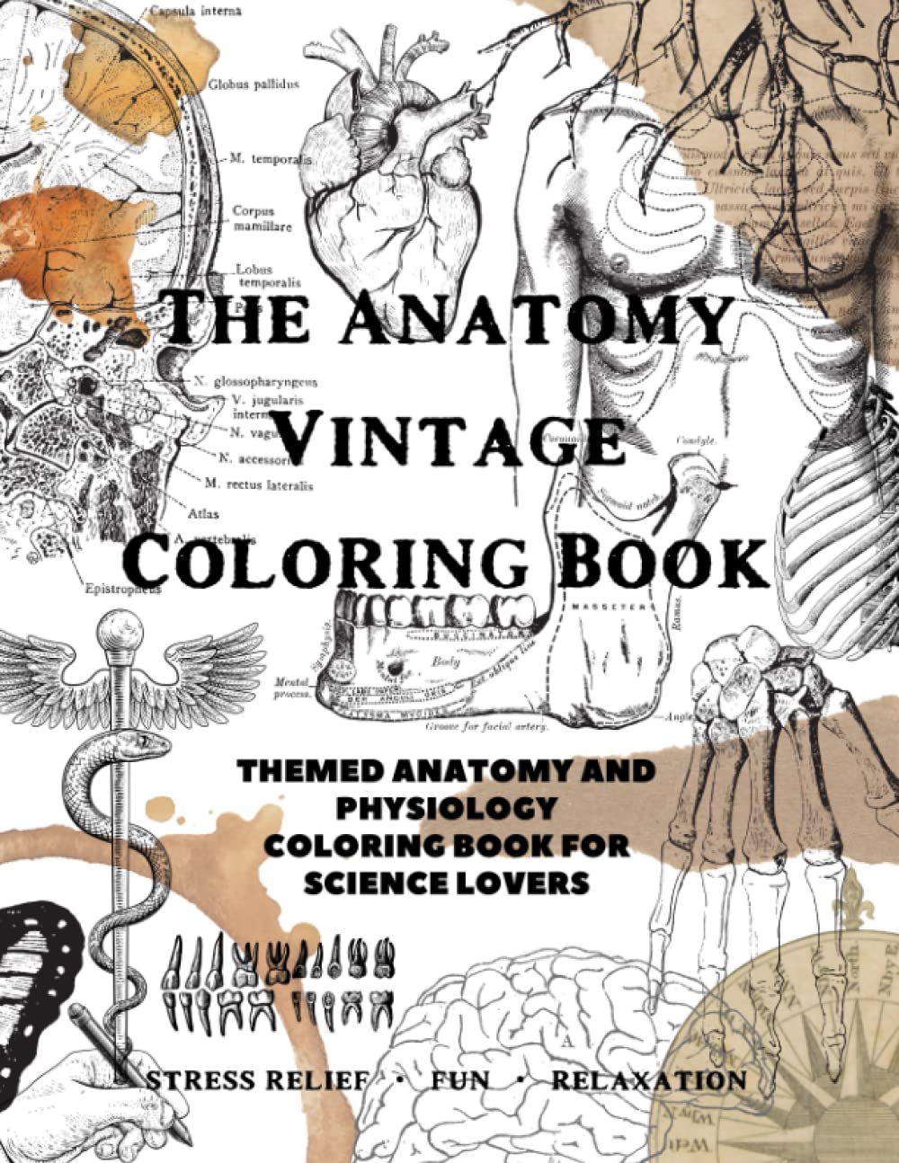 The Anatomy Vintage Coloring Book - Themed Anatomy And Physiology Coloring Book for science lovers - stress relief, fun, relaxation: Activity workbook ... Anyone Interested in Human Body and Vintage