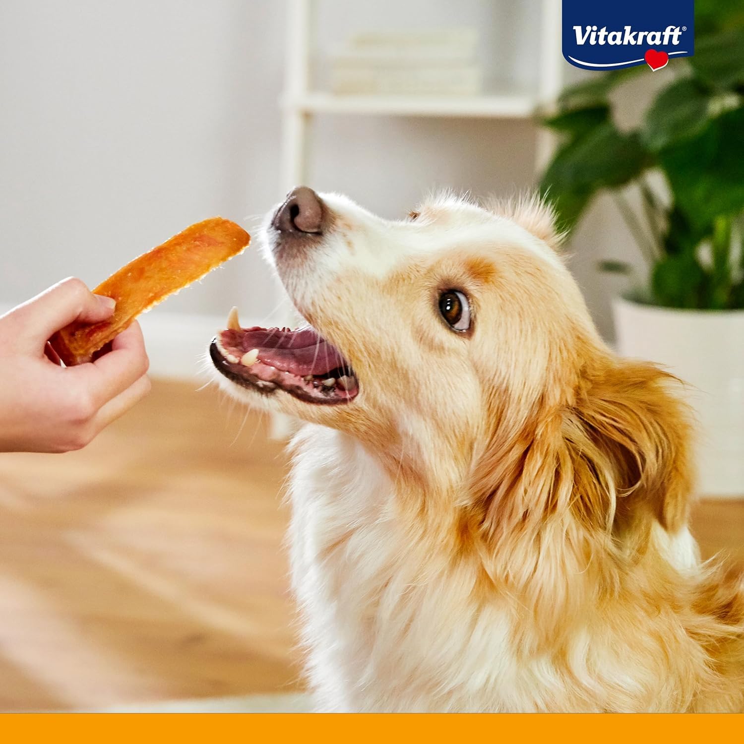 VITAKRAFT- Pure Chicken Filets, Friandises pour Chiens, Filets De Poulet, Friandises D’Entraînement, sans Sucre Ajouté (1X 80G)