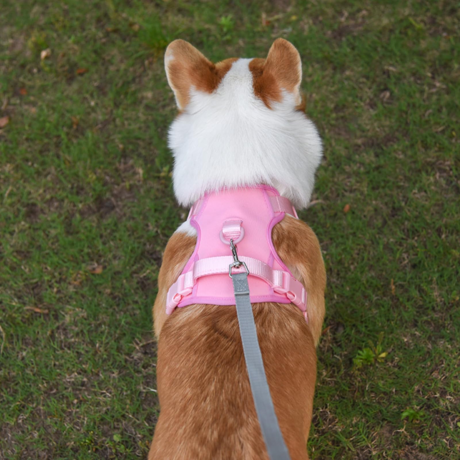 Hundegeschirr Mit Leine Verstellbar Reflektierend Atmungsaktiv Wasserdicht Stoßfest Für Mittelgroße Und Große Hunde,Rosa,L
