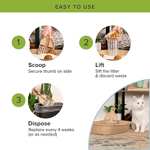 Miniatura 14 de Kitty Sift Paquete de 6 cajas de arena desechables para gatos, sostenible, limpia, Jumbo, paquete de 6