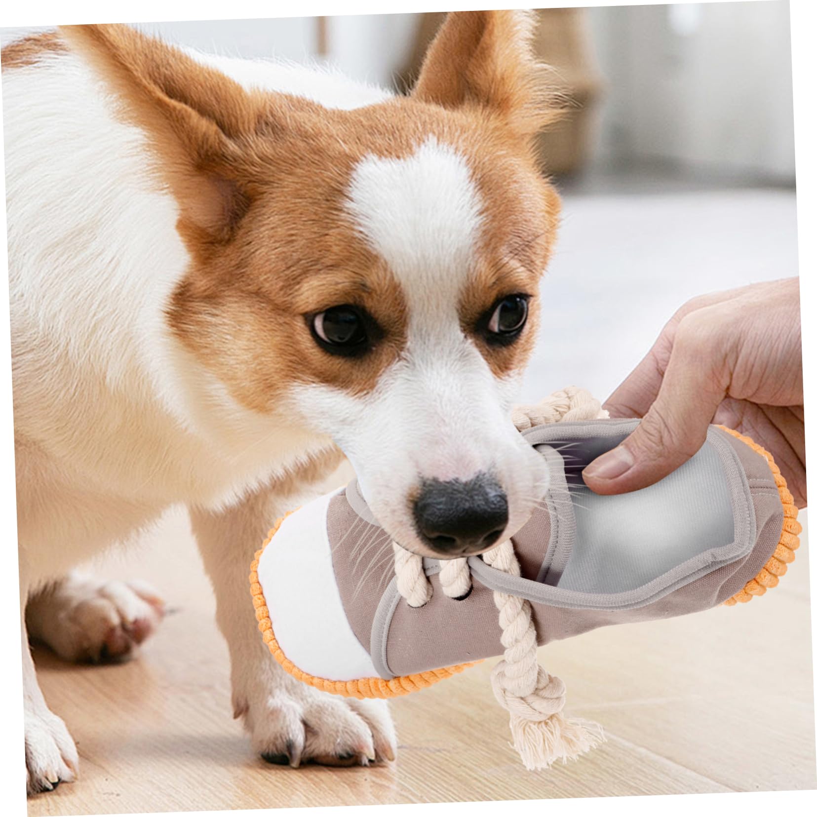 Toddmomy 4pièces Jouet à Mordre pour Chien Jouet De Nettoyage des pour Chiens Amusant avec Bruit