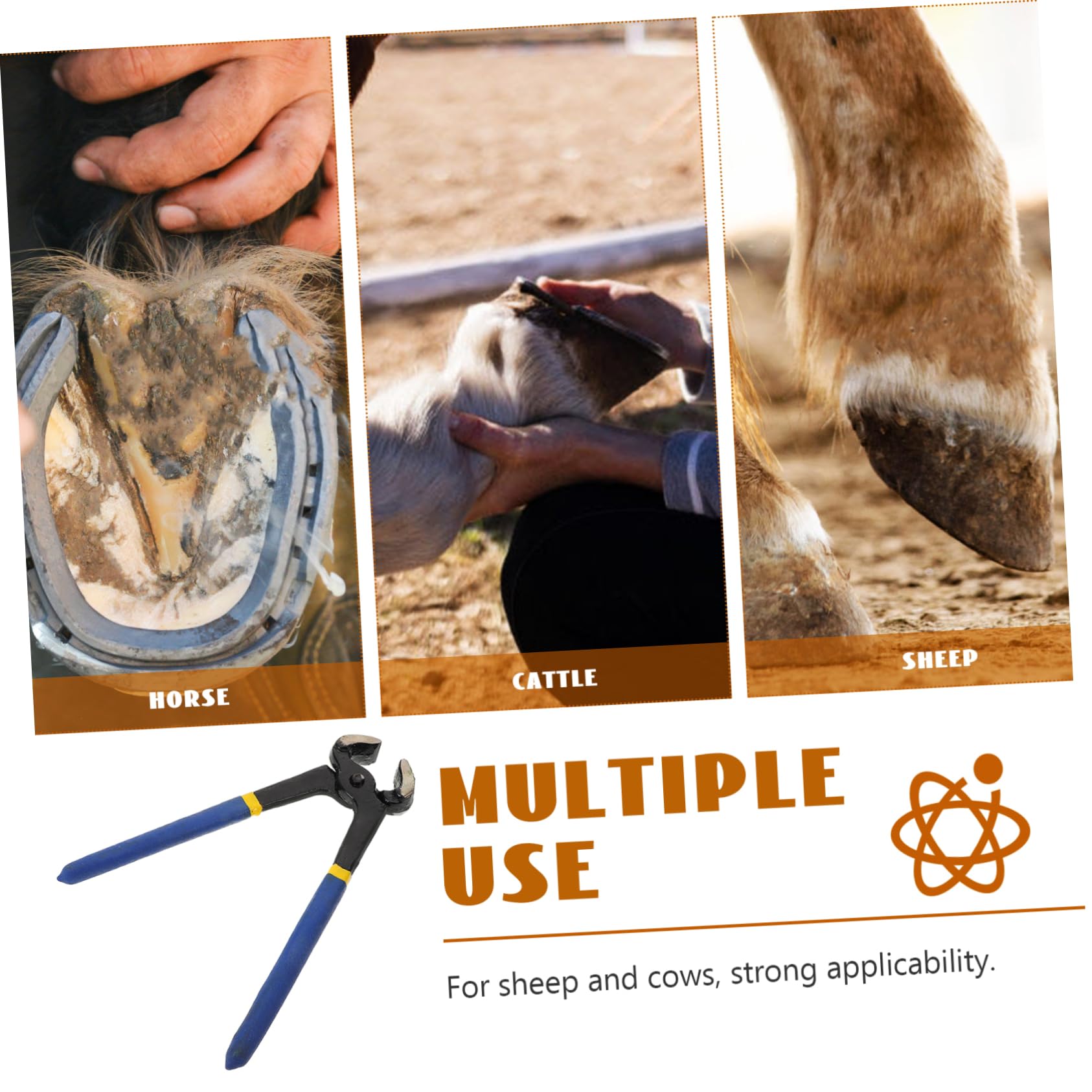 YARNOW 5 Uds Alicates De Corte De Pezuñas Herramienta De Corte De Pezuñas Herramienta De Corte De Herradura Recortadora De Zapatos De Caballo Tijeras De Pie De Caballo Tijeras De Pezuñas