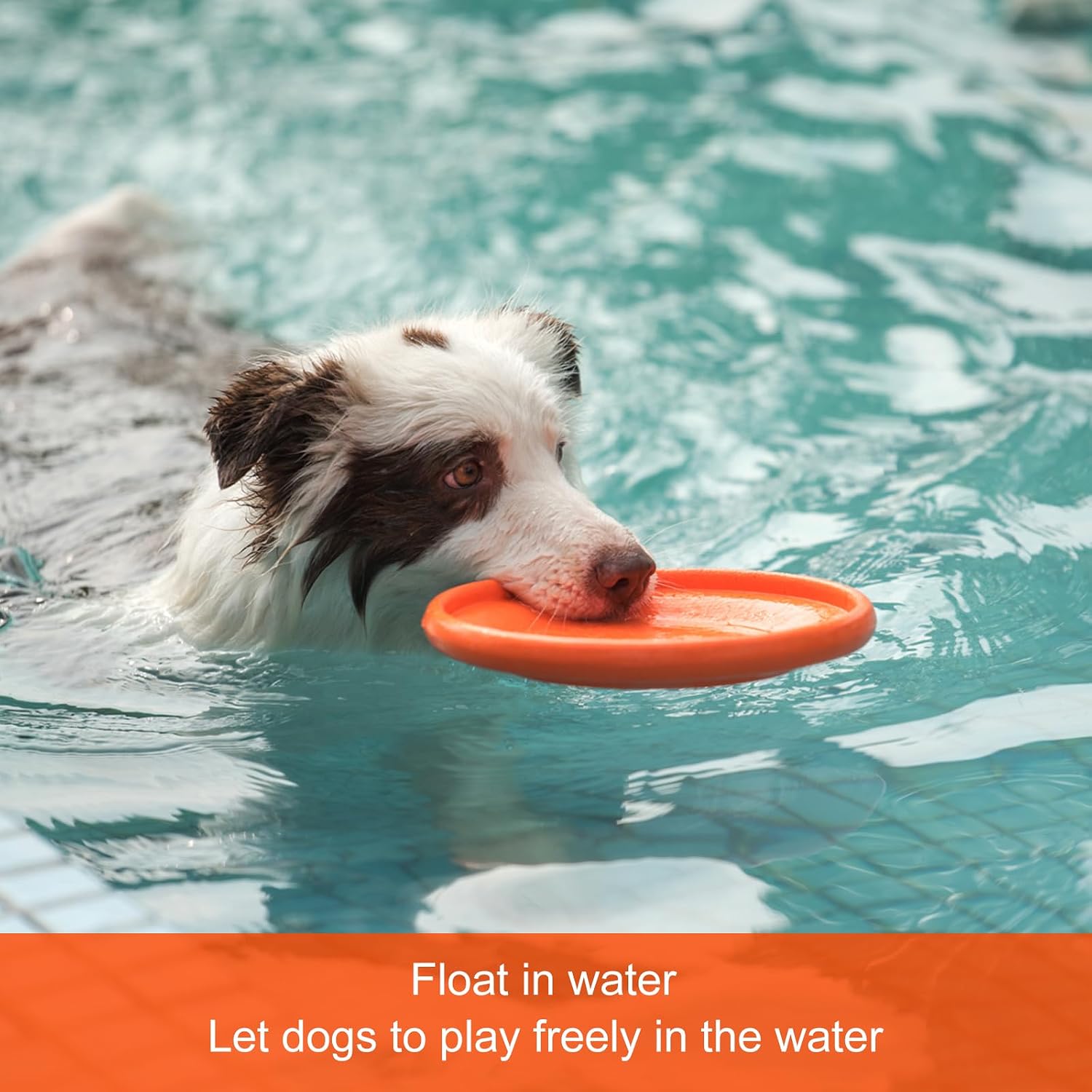 NAITELI Flyer-Durable Dog Flying Discs-Safer Dog Toy for Fetch(Orange,L) | 9.25-inch | For Medium & Large Dogs | Flying Steadily | Soft and safe on teeth | Floats in Water