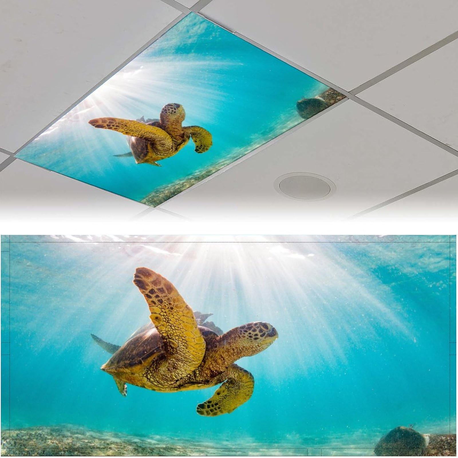 ZiKiLXU 2 Pack Fluorescent Light Covers - Sea Turtle Magnetic Ceiling Light Cover Filters for Classroom, School, Home Office, Drop Ceiling Lamp Decor,