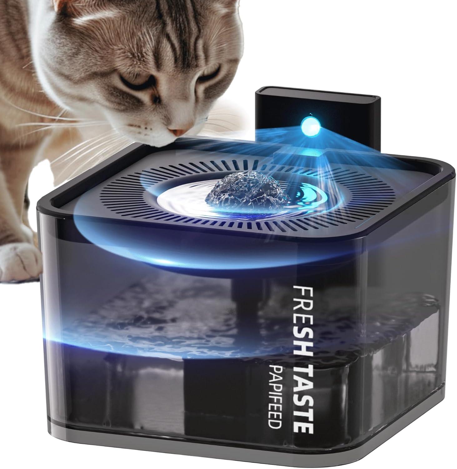 Amazon.com : PAPIFEED Cat Water Fountain: 106oz/3L Premium Pet Water ...