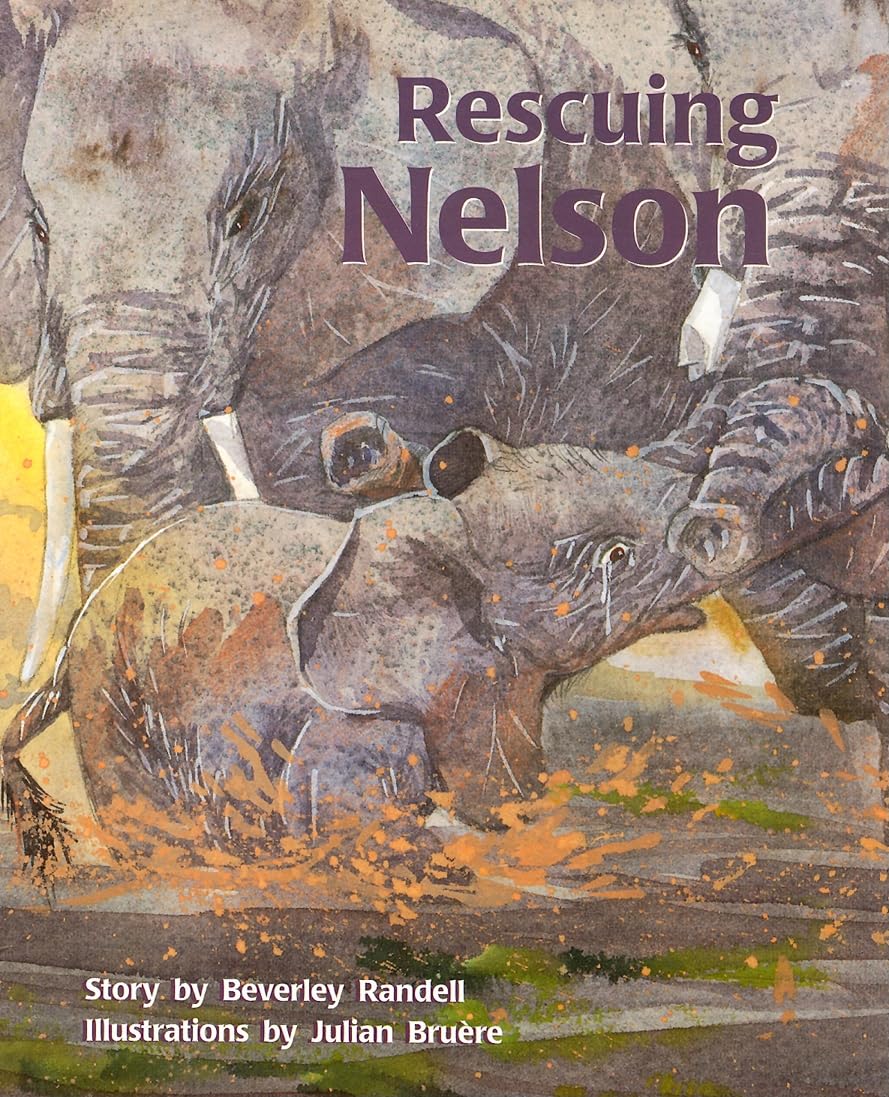 Rescuing Nelson: Individual Student Edition Turquoise (Levels 17-18) (Rigby PM Collection)