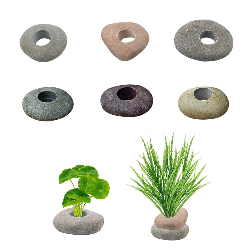 Pedras Naturais para Fixar Plantas em Aquário JINJUMEI com Orifício Central de 2 cm, Pacote com 6