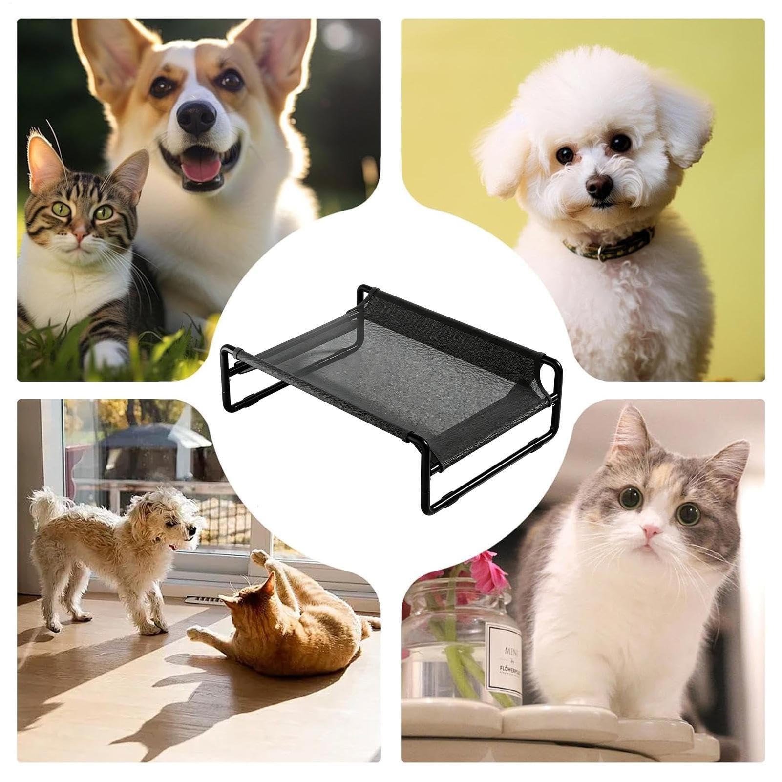 rialzato da cani Lavabile Antiscivolo | Cuccia rialzata per cani Per cuccioli, , piccola, media, grande, campeggio, picnic, , interni ed esterni