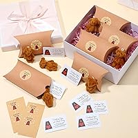 Vista 11 de Libima Juego de 12 cajas de almohada de animales de peluche con diseño de oso de bolsillo con etiqueta en blanco en forma de corazón para tu ser