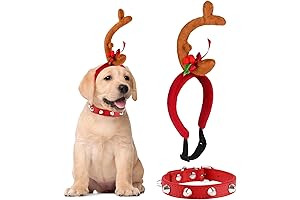 Dogs Reindeer antlers