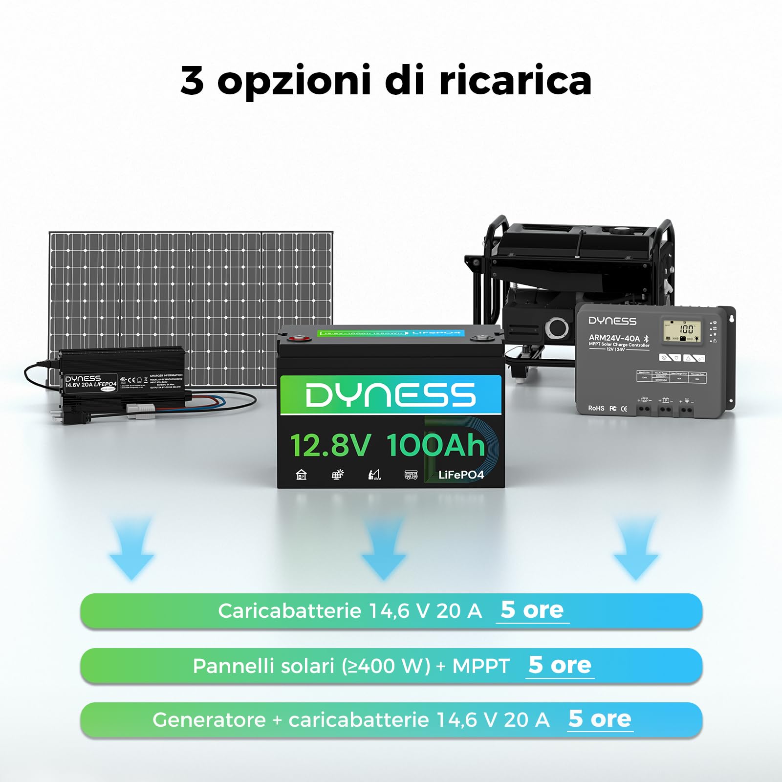 Dyness LiFePO4 Batteria al Litio 12V 100Ah a Ciclo profondo con 100A BMS, Per Campeggio, Barche, Accumulo Solare Domestico, Off-grid