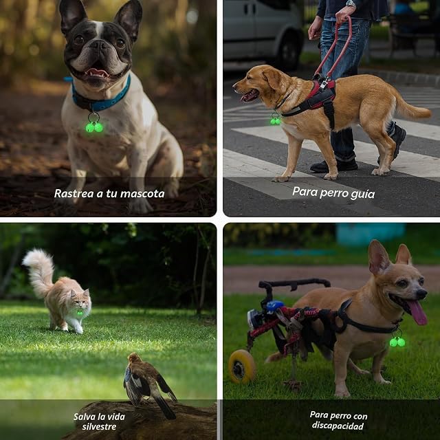 Foto 2 de 6 de Campanas para collar de perro y gatos, brillantes y fuertes para rastreo, salvando la vida silvestre y pájaros