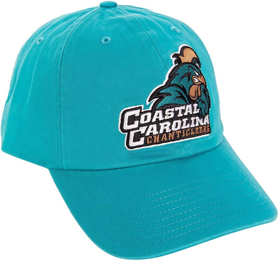 Desert Cactus Coastal Carolina University Baseball Hat Chanticleers CCU Brimmed Embroidered Cap Adjustable Cloth Strap Adult