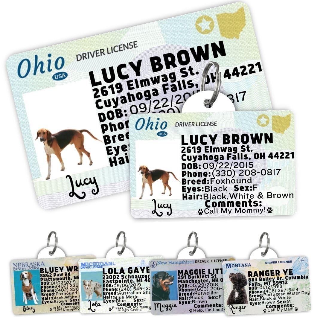PawFurEver Personalized Dog Driver License ID Tag for Dogs & Cats - Custom Pet License Dog ID Tags Personalized Heavy Duty with Name, Photo & Phone