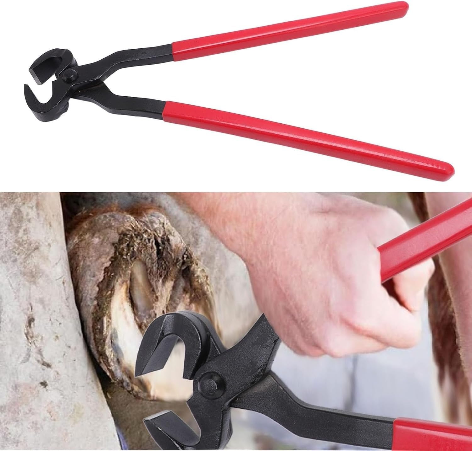 Tronçonneuse à Sabot en Acier Inoxydable, Pince Robuste pour Parage des Sabots avec poignée antidérapante, Outil Polyvalent pour Chevaux, chèvres, Moutons, alpa