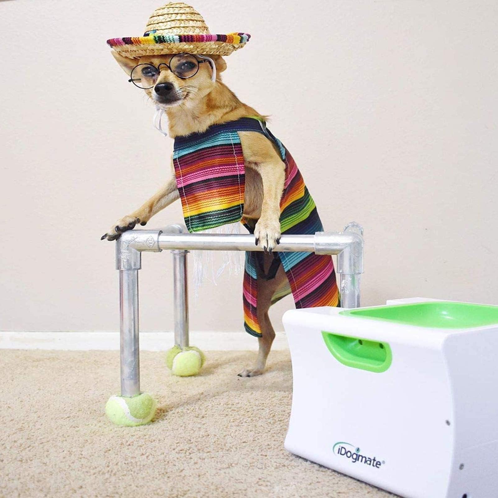 IDOGMATE Small Dog Ball Launcher,Automatic Dog Ball Thrower for Mini Dog (Small Machine with 3 Balls)