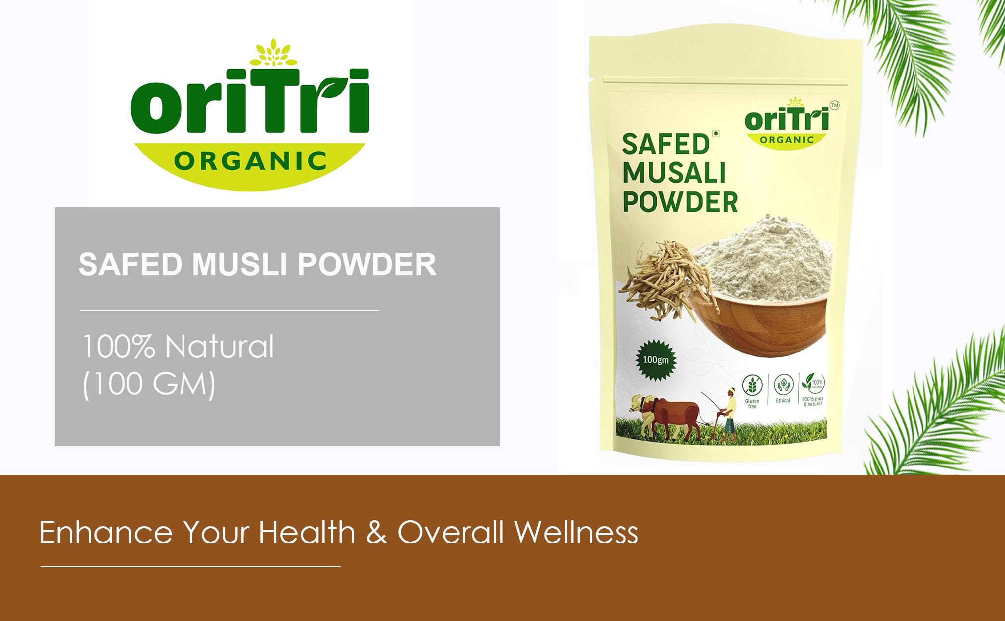 Oritri Organics Safed Musli Root Powder 100g | Ayurvedic & Performance Booster | Organic Herbal Supplement for Strength, Stamina & Energy | 100% Pure, Non-GMO, Preservative-Free (Pack of 1) 1