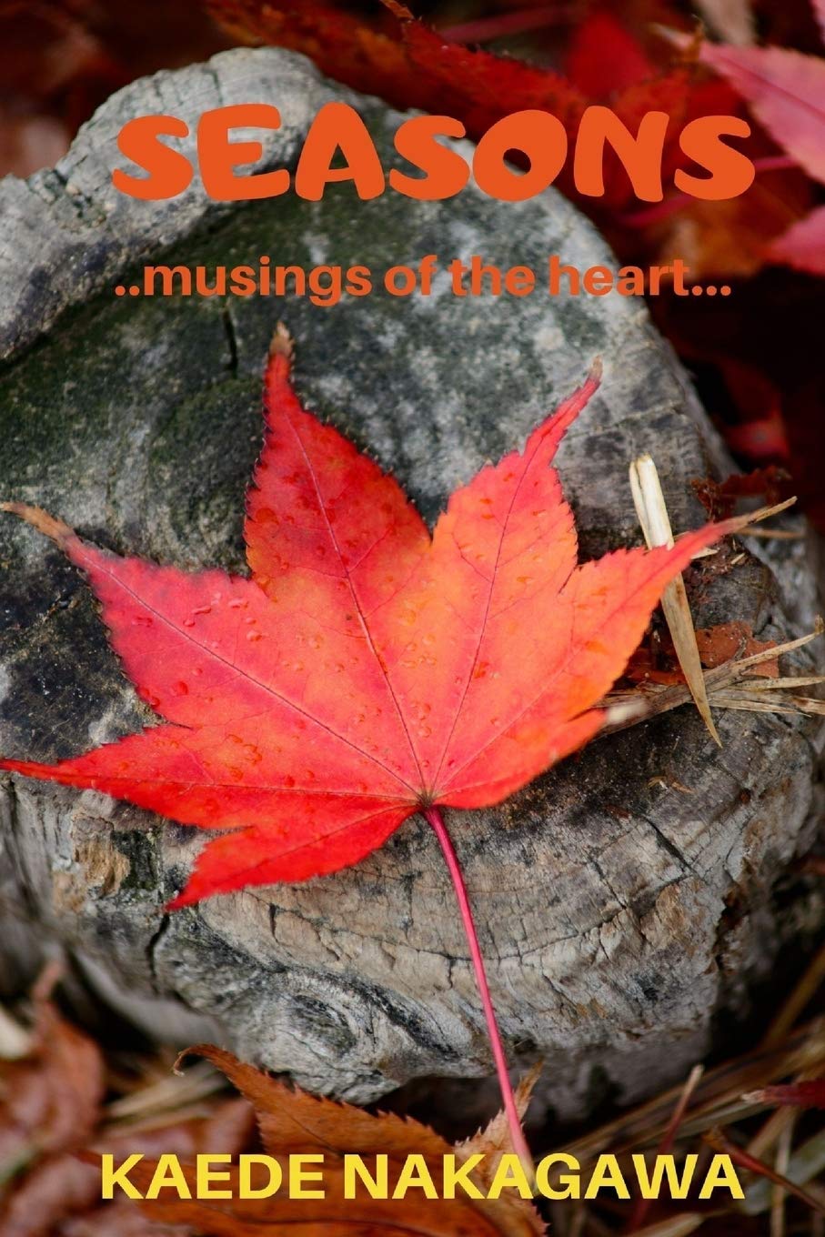 Seasons : Musings of the Heart