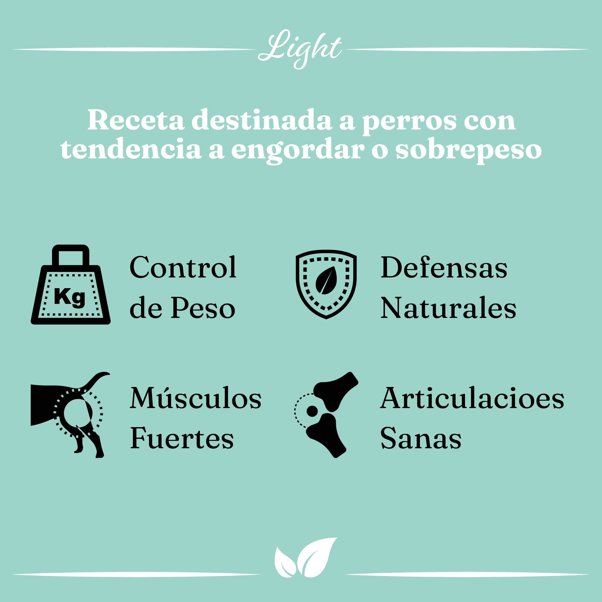 Pienso Light de Pavo para Perros Adultos | Efecto Saciante | Bajo en Grasas | con Cereales Completos | Libre de OGM | Protección Articular, 12 kg