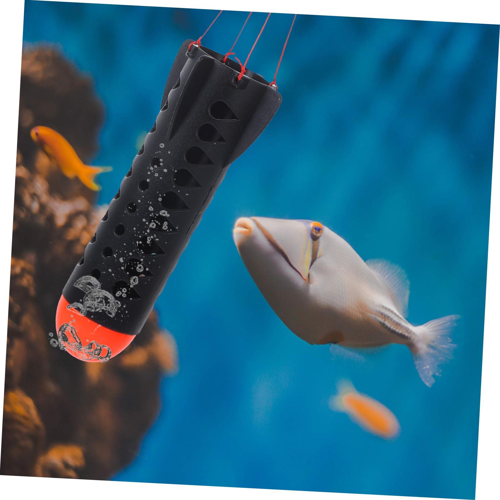 Toddmomy Raketennistgerät Karpfen Köder Käfig Futterspender Lockhalter Angeln Feeder zum Angeln im Freien Angelkorb Fischfutterautomat Fischereifalle Angreifer Angeln Feeder Plastik